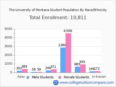 The University of Montana 2025 Student Population by Gender and Race chart