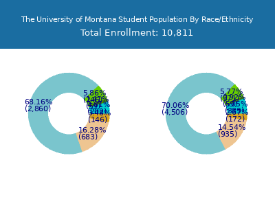 The University of Montana 2025 Student Population by Gender and Race chart