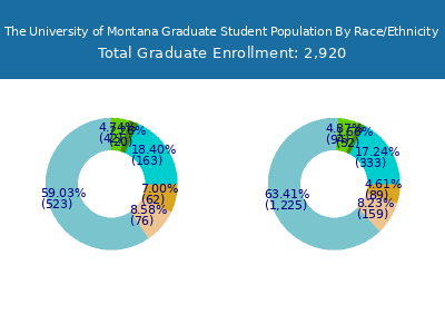 The University of Montana 2025 Graduate Enrollment by Gender and Race chart