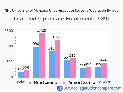 The University of Montana 2024 Undergraduate Enrollment by Age chart