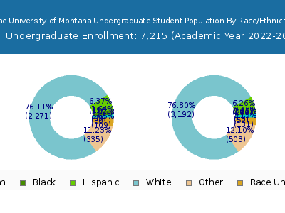 The University of Montana 2023 Undergraduate Enrollment by Gender and Race chart