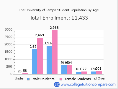 The University of Tampa 2024 Student Population by Age chart