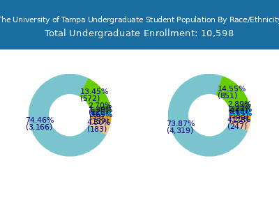 The University of Tampa 2025 Undergraduate Enrollment by Gender and Race chart