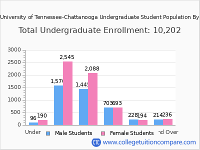 The University of Tennessee-Chattanooga 2025 Undergraduate Enrollment by Age chart