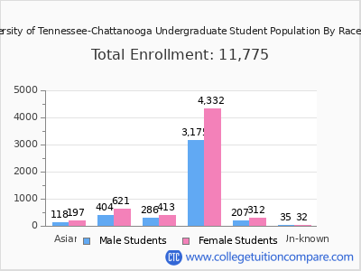 The University of Tennessee-Chattanooga 2025 Undergraduate Enrollment by Gender and Race chart