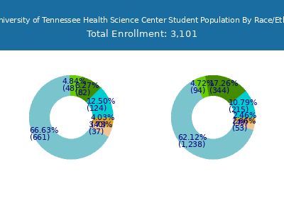 The University of Tennessee Health Science Center 2025 Student Population by Gender and Race chart