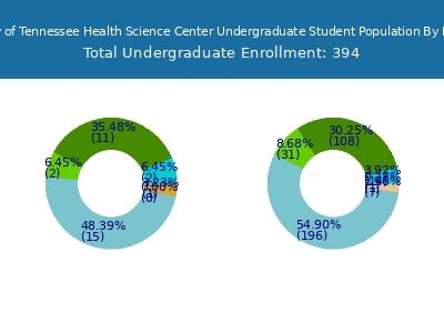 The University of Tennessee Health Science Center 2025 Undergraduate Enrollment by Gender and Race chart