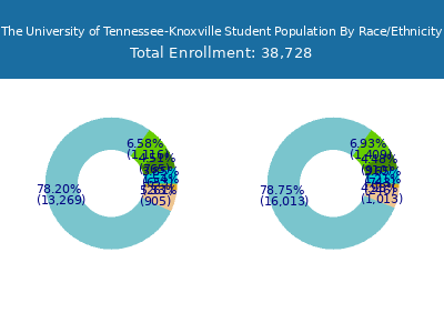 The University of Tennessee-Knoxville 2025 Student Population by Gender and Race chart