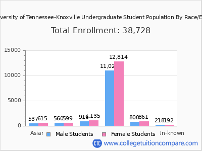 The University of Tennessee-Knoxville 2025 Undergraduate Enrollment by Gender and Race chart