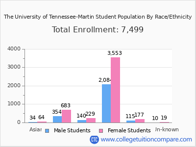 The University of Tennessee-Martin 2025 Student Population by Gender and Race chart