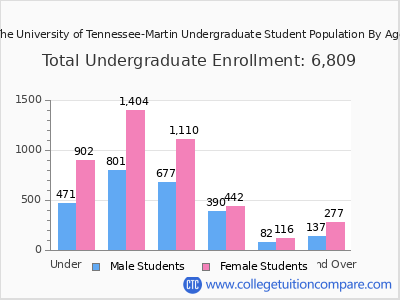 The University of Tennessee-Martin 2025 Undergraduate Enrollment by Age chart