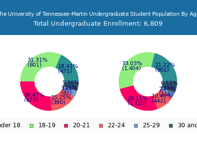 The University of Tennessee-Martin 2025 Undergraduate Enrollment Age Diversity Pie chart