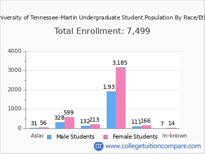 The University of Tennessee-Martin 2025 Undergraduate Enrollment by Gender and Race chart