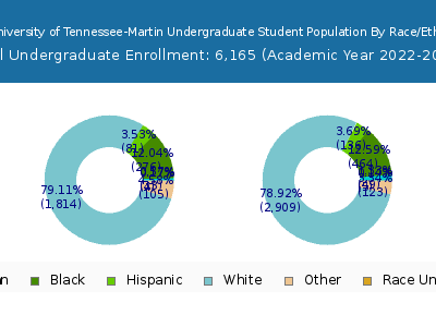 The University of Tennessee-Martin 2023 Undergraduate Enrollment by Gender and Race chart