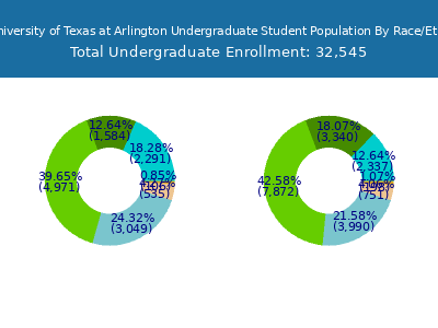 The University of Texas at Arlington 2025 Undergraduate Enrollment by Gender and Race chart