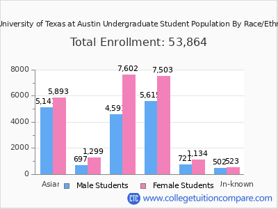 The University of Texas at Austin 2025 Undergraduate Enrollment by Gender and Race chart