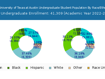 The University of Texas at Austin 2023 Undergraduate Enrollment by Gender and Race chart
