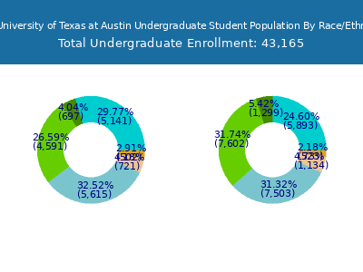 The University of Texas at Austin 2025 Undergraduate Enrollment by Gender and Race chart