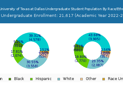 The University of Texas at Dallas 2023 Undergraduate Enrollment by Gender and Race chart