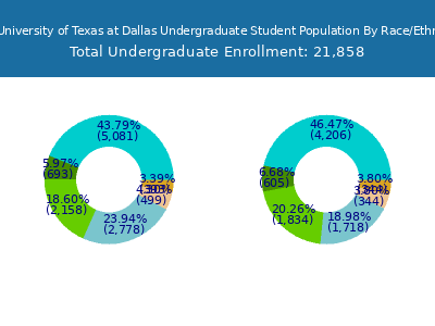 The University of Texas at Dallas 2025 Undergraduate Enrollment by Gender and Race chart