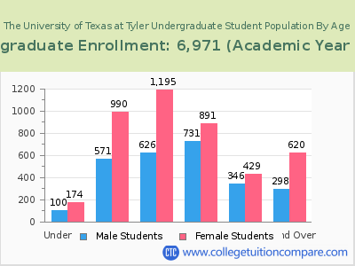 The University of Texas at Tyler 2023 Undergraduate Enrollment by Age chart