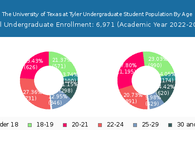 The University of Texas at Tyler 2023 Undergraduate Enrollment Age Diversity Pie chart