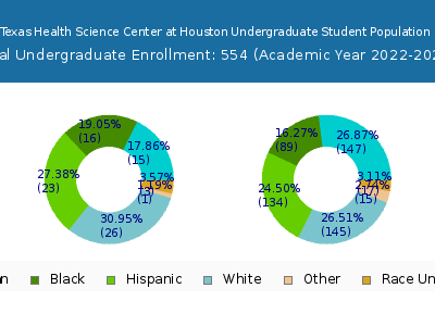 The University of Texas Health Science Center at Houston 2023 Undergraduate Enrollment by Gender and Race chart