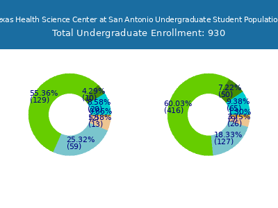 The University of Texas Health Science Center at San Antonio 2025 Undergraduate Enrollment by Gender and Race chart