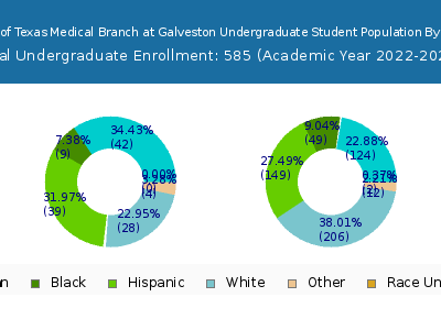 The University of Texas Medical Branch at Galveston 2023 Undergraduate Enrollment by Gender and Race chart