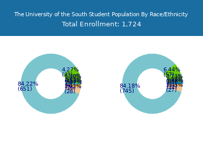The University of the South 2025 Student Population by Gender and Race chart