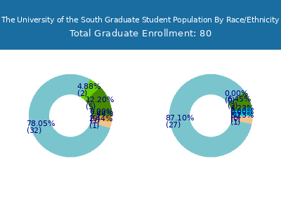 The University of the South 2025 Graduate Enrollment by Gender and Race chart