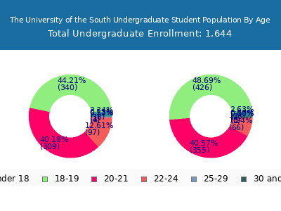 The University of the South 2025 Undergraduate Enrollment Age Diversity Pie chart