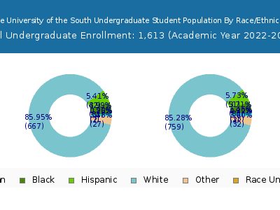 The University of the South 2023 Undergraduate Enrollment by Gender and Race chart