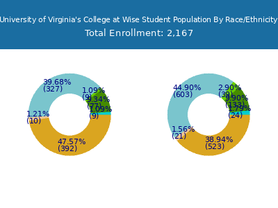 University of Virginia's College at Wise 2025 Student Population by Gender and Race chart
