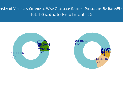 University of Virginia's College at Wise 2025 Graduate Enrollment by Gender and Race chart