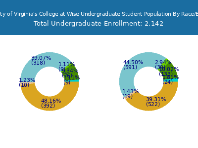 University of Virginia's College at Wise 2025 Undergraduate Enrollment by Gender and Race chart