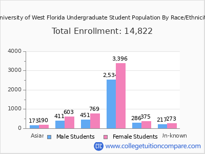 University of West Florida 2025 Undergraduate Enrollment by Gender and Race chart