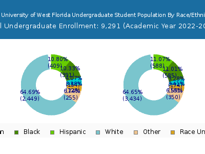 The University of West Florida 2023 Undergraduate Enrollment by Gender and Race chart