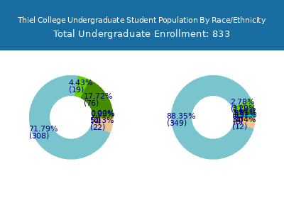 Thiel College 2025 Undergraduate Enrollment by Gender and Race chart