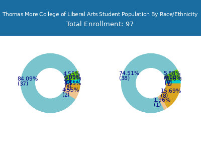 Thomas More College of Liberal Arts 2025 Student Population by Gender and Race chart