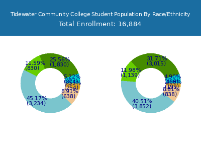 Tidewater Community College 2025 Student Population by Gender and Race chart