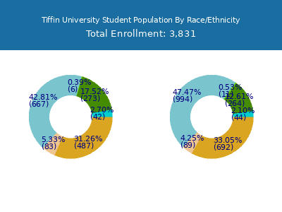 Tiffin University 2025 Student Population by Gender and Race chart