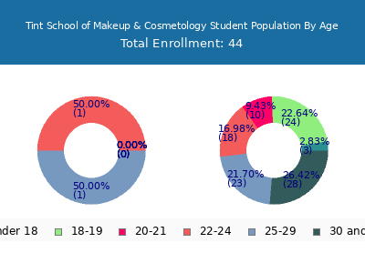 Tint School of Makeup & Cosmetology 2024 Student Population Age Diversity Pie chart