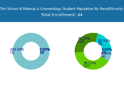 Tint School of Makeup & Cosmetology 2025 Student Population by Gender and Race chart