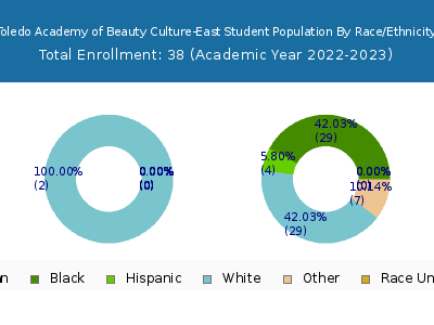 Toledo Academy of Beauty Culture-East 2023 Student Population by Gender and Race chart