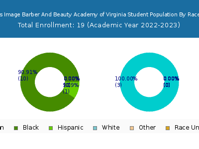 Tomorrow's Image Barber And Beauty Academy of Virginia 2023 Student Population by Gender and Race chart