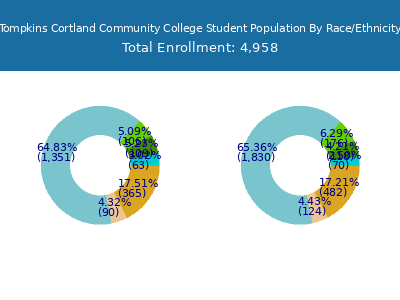 Tompkins Cortland Community College 2025 Student Population by Gender and Race chart