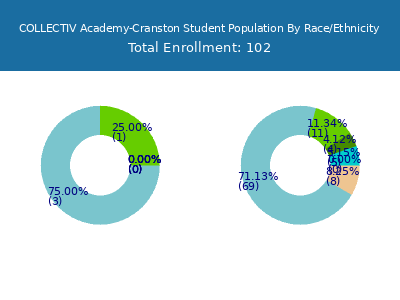 COLLECTIV Academy-Cranston 2025 Student Population by Gender and Race chart