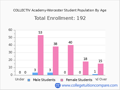 COLLECTIV Academy-Worcester 2024 Student Population by Age chart