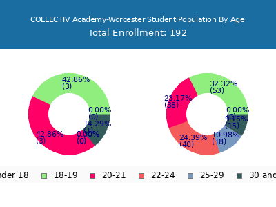 COLLECTIV Academy-Worcester 2024 Student Population Age Diversity Pie chart